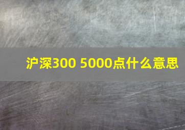 沪深300 5000点什么意思